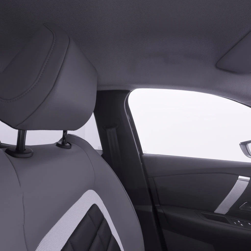 Vue conducteur (volant)